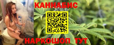 гашик Майкоп