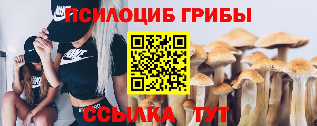 Добрянка  Галлюциногенные грибы мухоморы  Вход с VPN 
